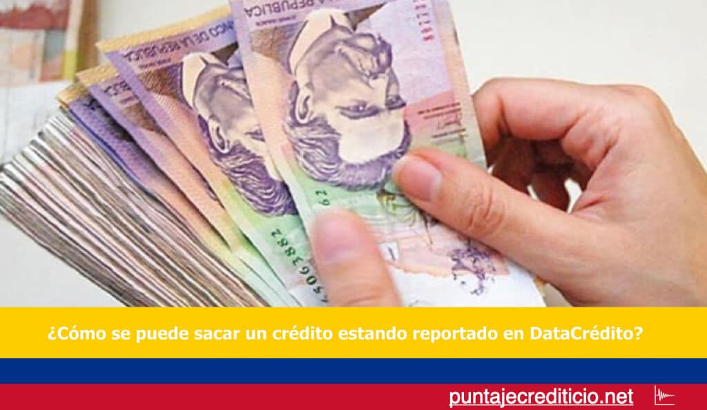 como se puede sacar un credito estando reportado en datacredito